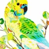 Colorful Budgie Diamond Painting