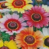 Colorful Chrysanthemum Diamond Painting