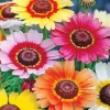 Colorful Chrysanthemum Diamond Painting