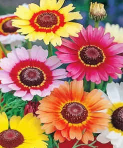 Colorful Chrysanthemum Diamond Painting