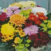 Colorful Chrysanthemum Flowers Diamond Painting