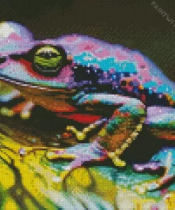 Colorful Frog Diamond Painting