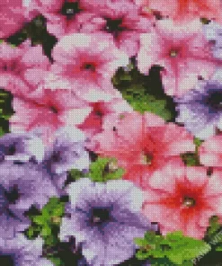 Colorful Petunia Flowers Diamond Painting