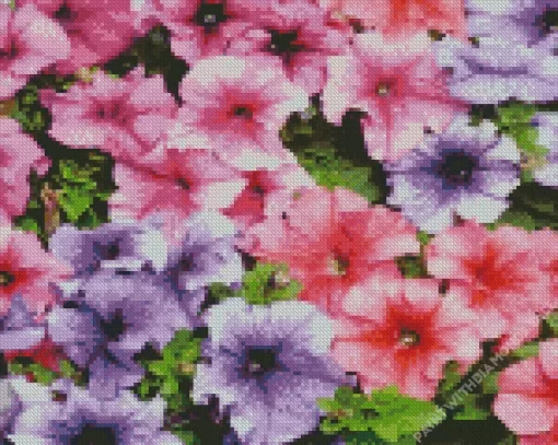 Colorful Petunia Flowers Diamond Painting