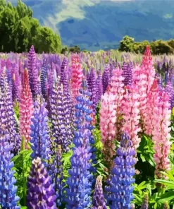 Colorful Lupine Flower Field Diamond Painting