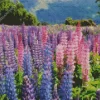 Colorful Lupine Flower Field Diamond Painting