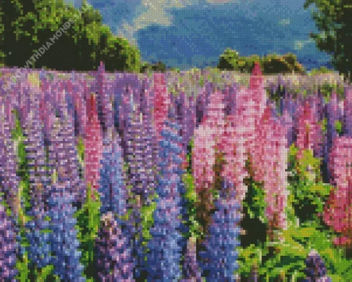 Colorful Lupine Flower Field Diamond Painting