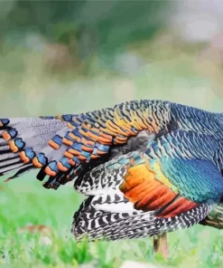 Colorful Ocellated Turkey Diamond Painting