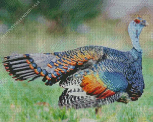 Colorful Ocellated Turkey Diamond Painting