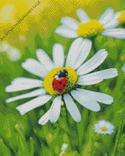 Common Daisy And Ladybug Diamond Painting