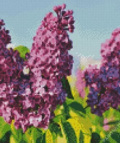 Common Lilac Purple Flower Diamond Painting