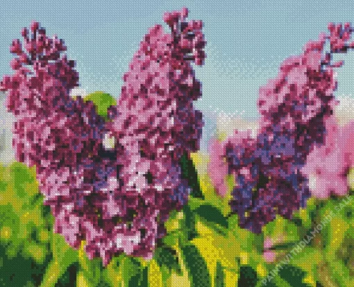 Common Lilac Purple Flower Diamond Painting