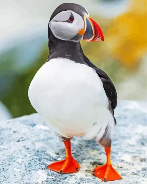 Cool Atlantic Puffin Diamond Painting