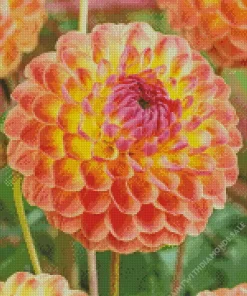 Cool Ball Dahlias Flower Diamond Painting