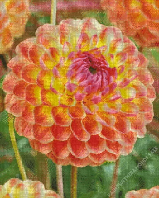 Cool Ball Dahlias Flower Diamond Painting