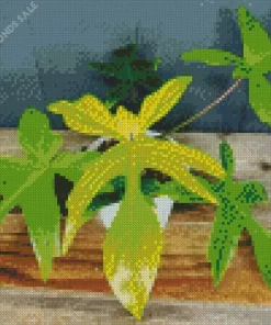 Cool Florida Ghost Philodendron Diamond Painting