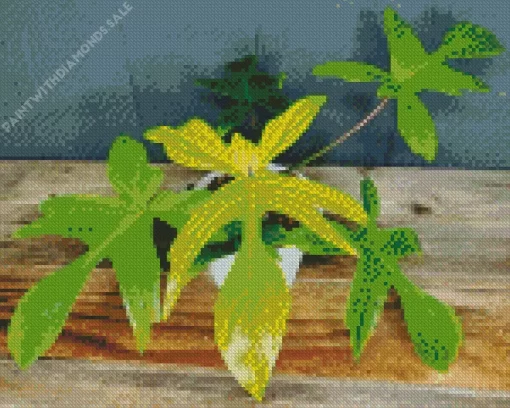 Cool Florida Ghost Philodendron Diamond Painting