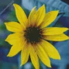 Cool Maximilian Perennial Sunflower Diamond Painting