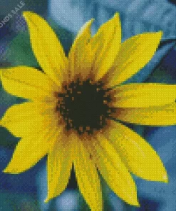 Cool Maximilian Perennial Sunflower Diamond Painting