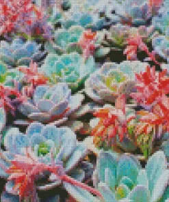 Cool Succulent Plants Diamond Painting