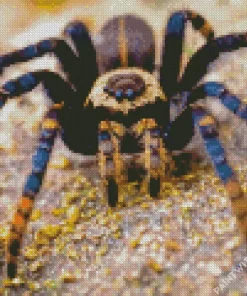 Cool Tarantula Diamond Painting