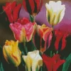 Cool Viridiflora Tulips Diamond Painting