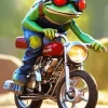 Cool Frog And Motorcycle Art Diamond Painting