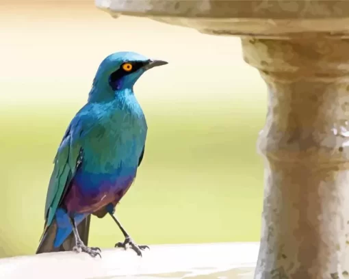 Cool Lesser Blue Eared Starling Diamond Painting