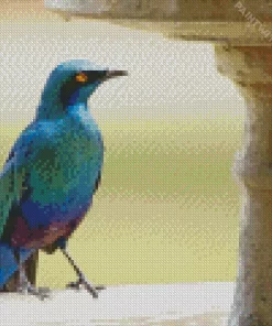 Cool Lesser Blue Eared Starling Diamond Painting