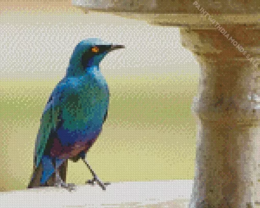 Cool Lesser Blue Eared Starling Diamond Painting