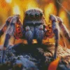 Cool Spider Close Up Diamond Painting