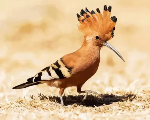 Cute African Hoopoe Diamond Painting