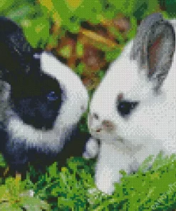 Cute Rabbits Diamond Painting