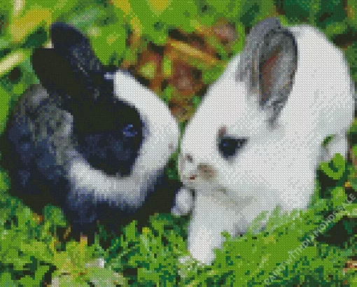 Cute Rabbits Diamond Painting