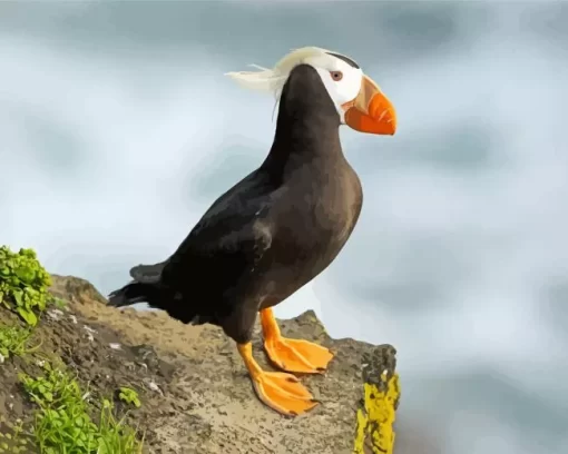 Cute Tufted Puffin Diamond Painting