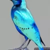 Cute Blue Starling Diamond Painting