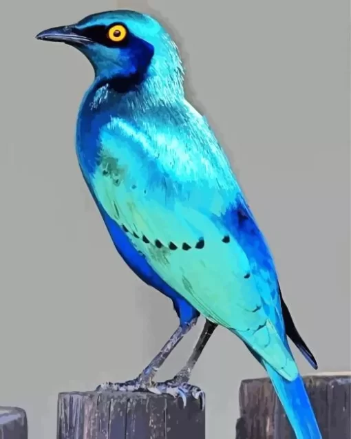 Cute Blue Starling Diamond Painting