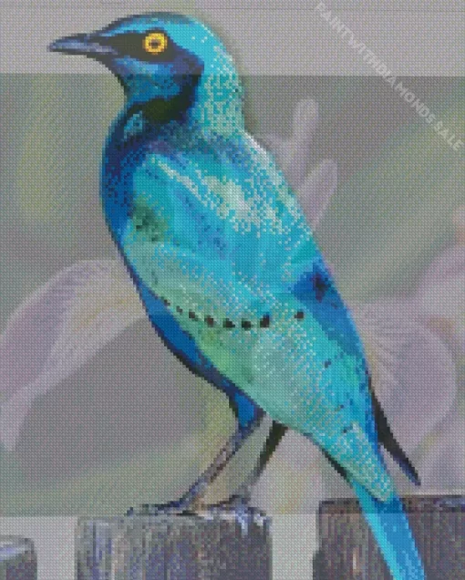 Cute Blue Starling Diamond Painting