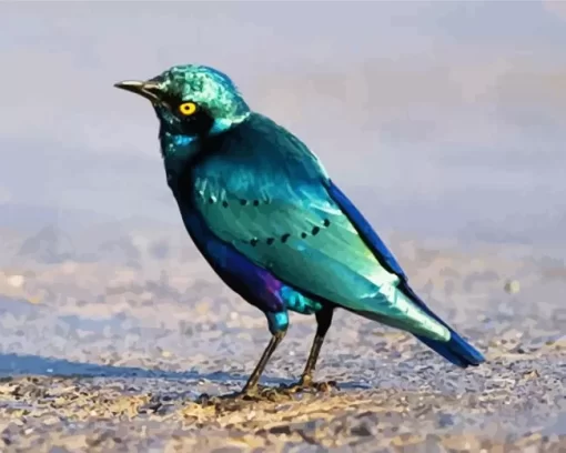 Cute Lesser Blue Eared Starling Diamond Painting