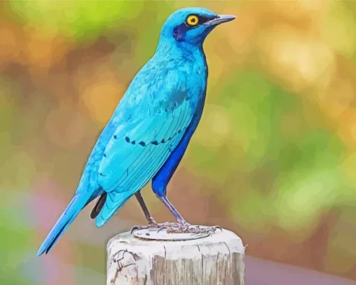 Cute Lesser Starling Blue Bird Diamond Painting