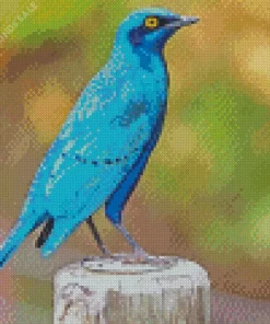 Cute Lesser Starling Blue Bird Diamond Painting