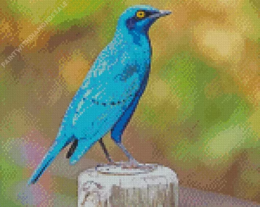 Cute Lesser Starling Blue Bird Diamond Painting