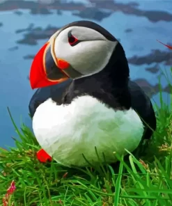 Cute Puffin Diamond Painting