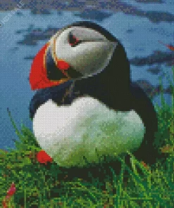 Cute Puffin Diamond Painting