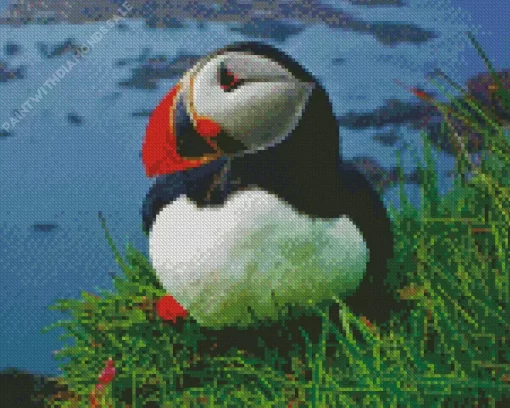 Cute Puffin Diamond Painting