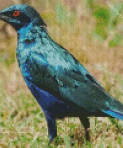 Cute Starling Blue Bird Diamond Painting