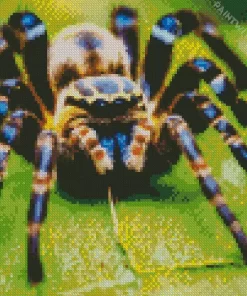 Cute Tarantula Spider Diamond Painting