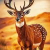 Deer Animal Diamond Painting