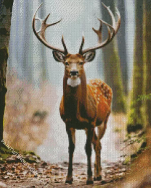 Deer In Forest Diamond Painting