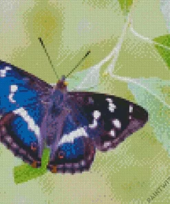 Devon Butterfly Diamond Painting